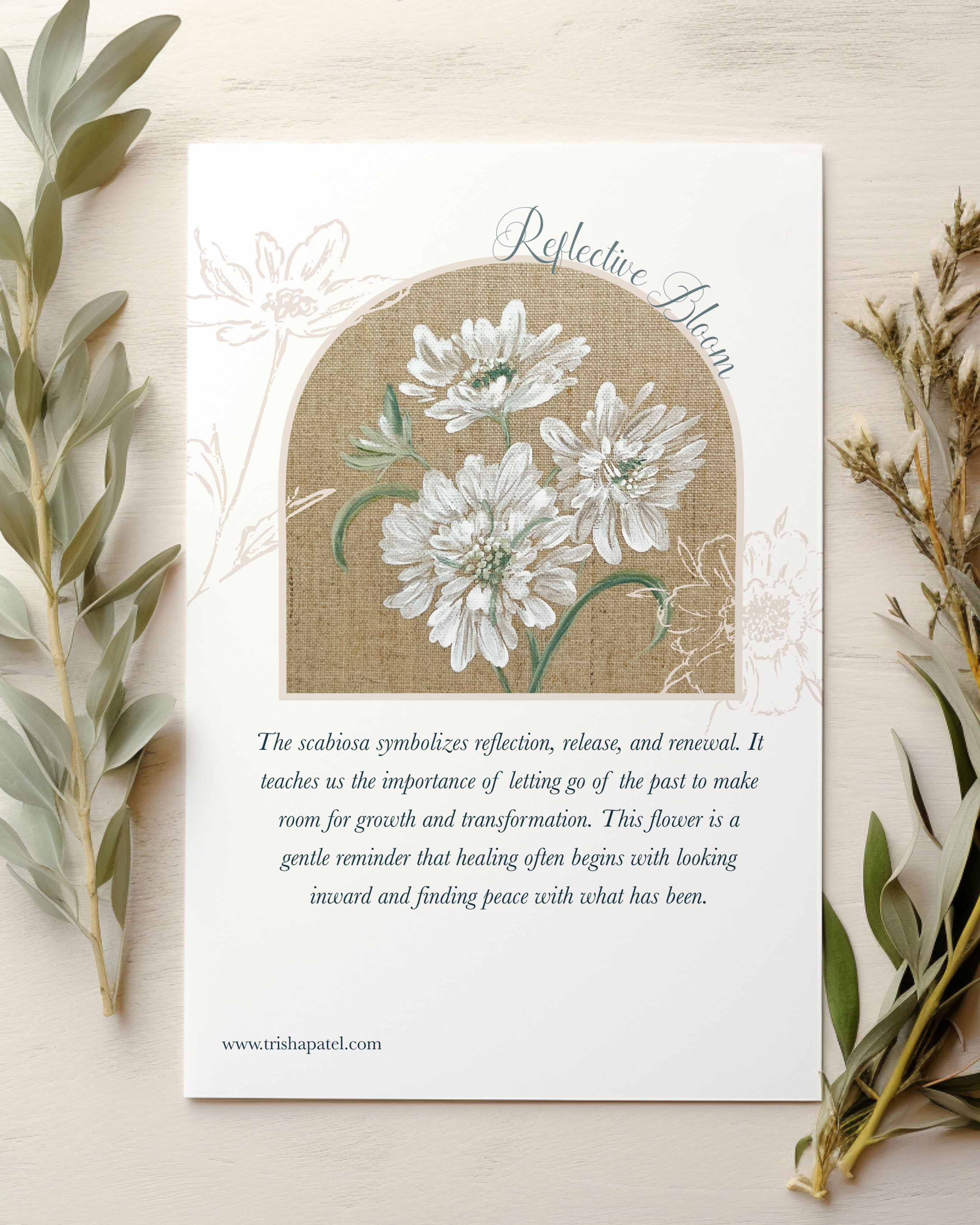 Scabiosa flower watercolor in lavender hues symbolizing reflection, release and renewal on healing journey with symbolism text