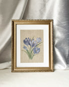 'Springs Promise' crocus botanical watercolor art by Trisha Patel displayed in elegant gold-toned wooden frame with vintage-inspired beaded and floral embossed border.