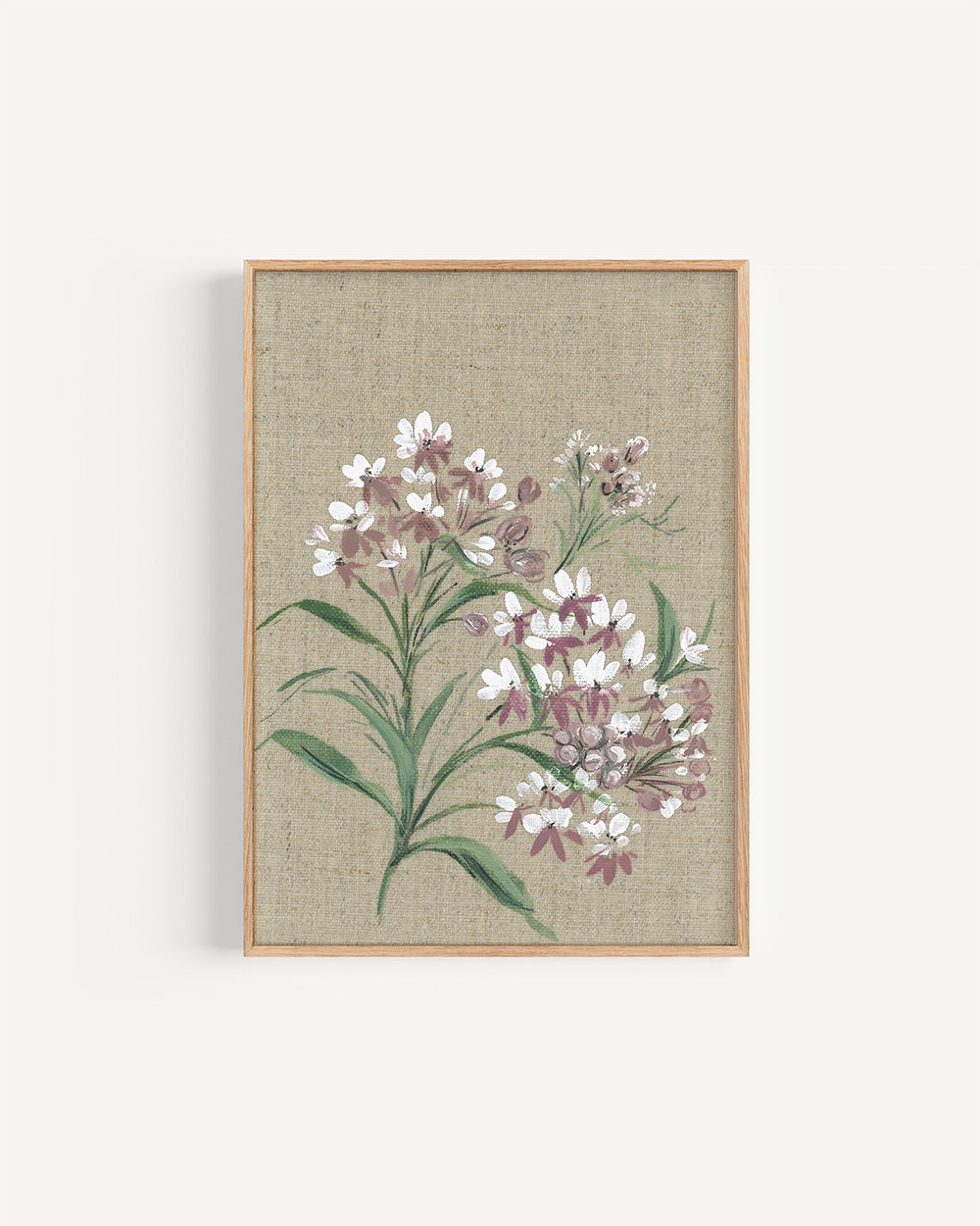 Asclepias plant watercolor in soft orange tones symbolizing transformation, resilience and monarch habitat