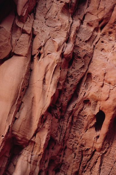 CLAY EMBEREmotion: warmth, hospitality, energy; good in dining rooms and gathering spaces when used thoughtfullyHue family: terracotta, clay, soft amber.